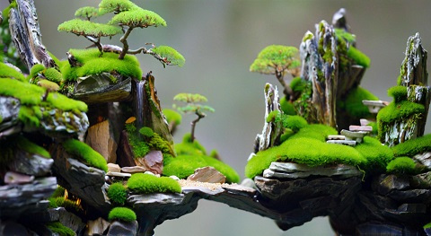 rockery stone Cartoon style aquarium landscaping