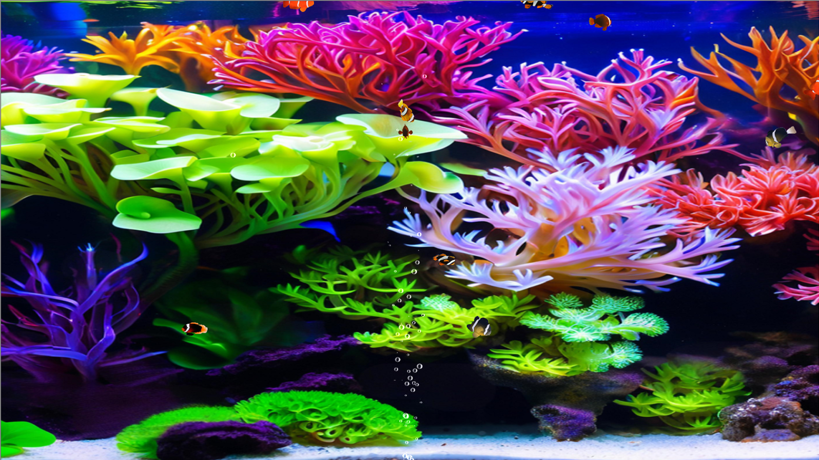Coral Clownfish