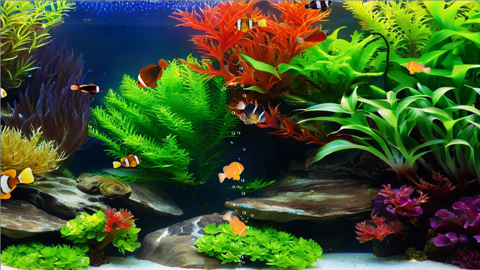 Clownfish Tank