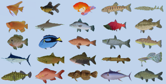 Fish Species in Fish School Screensaver
