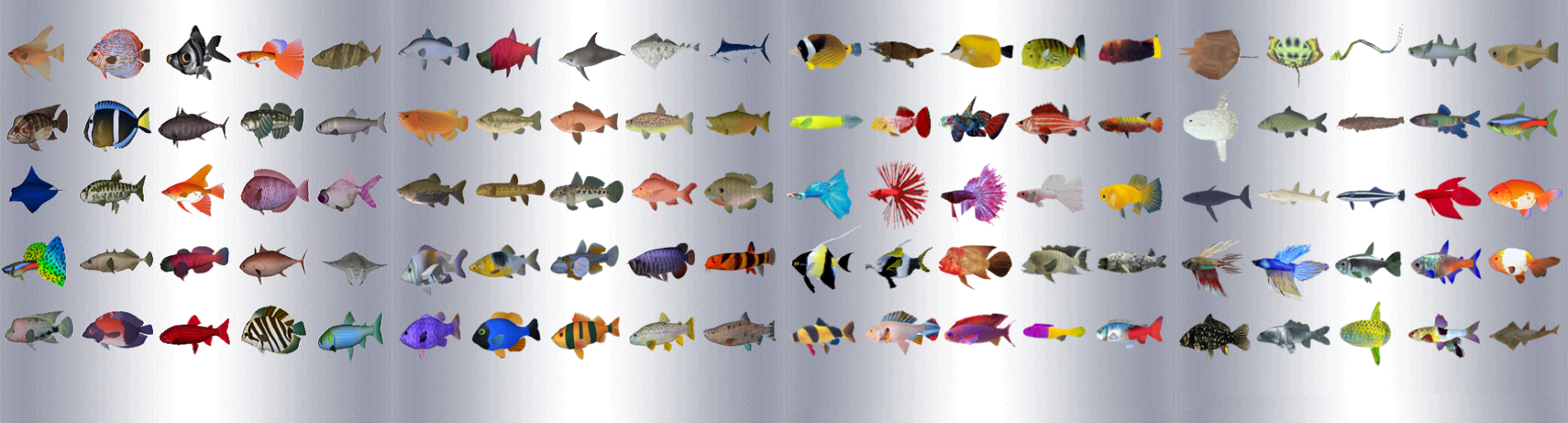 One hundred different types of freshwater and saltwater fish, including goldfish, clownfish, etc