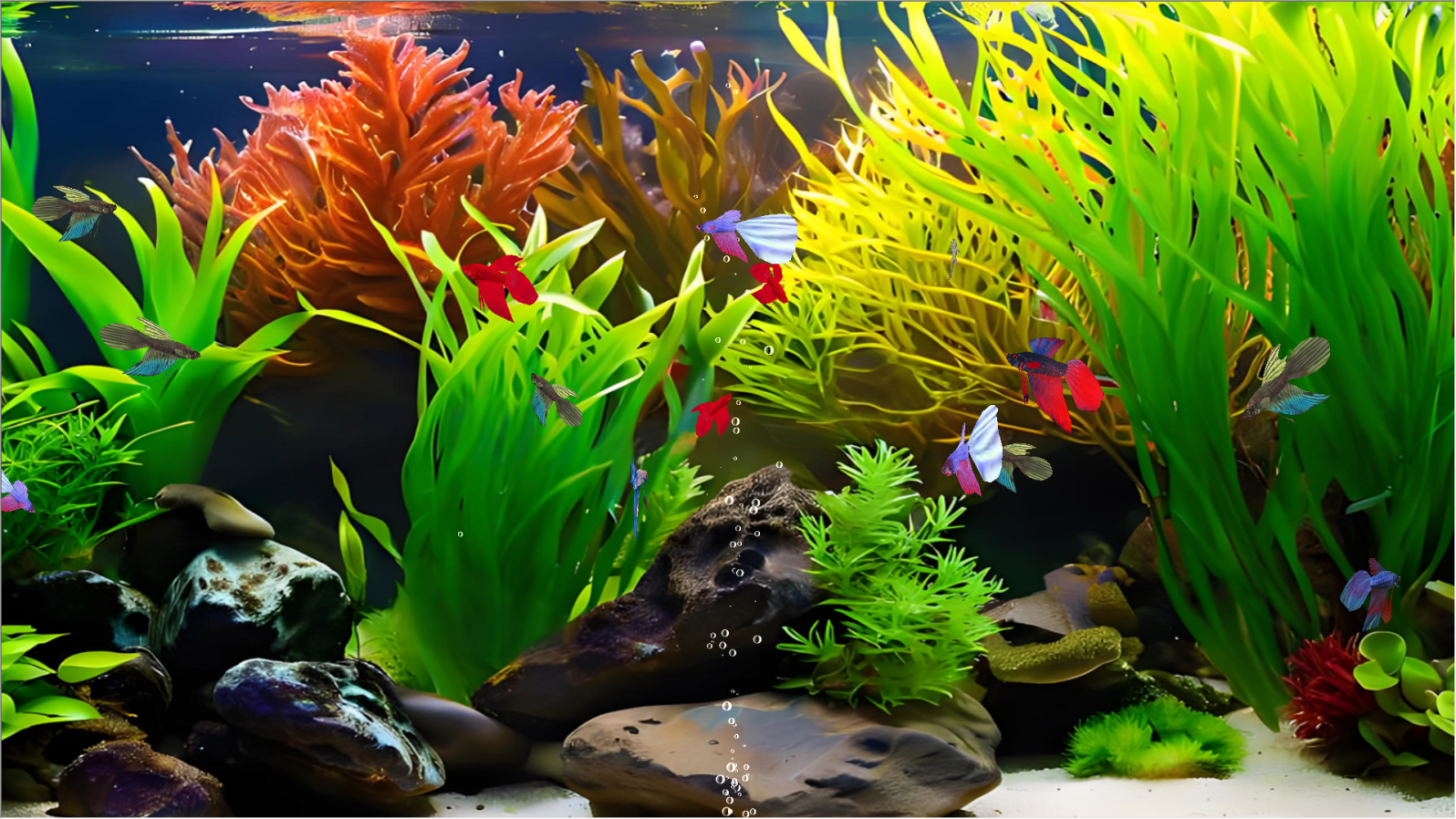 Betta Fish Aquarium