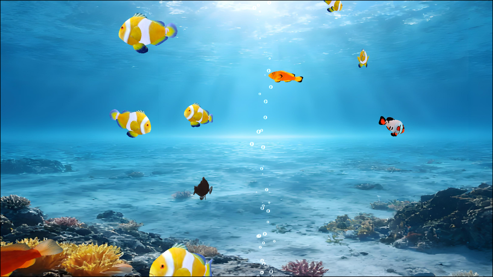 Coral Reef Clownfish Screensaver